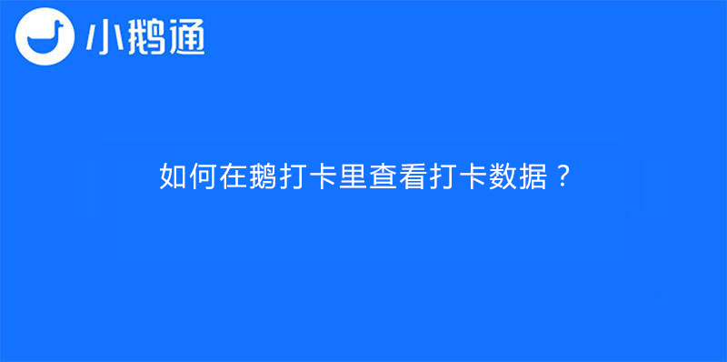 如何在鹅打卡里查看打卡数据？